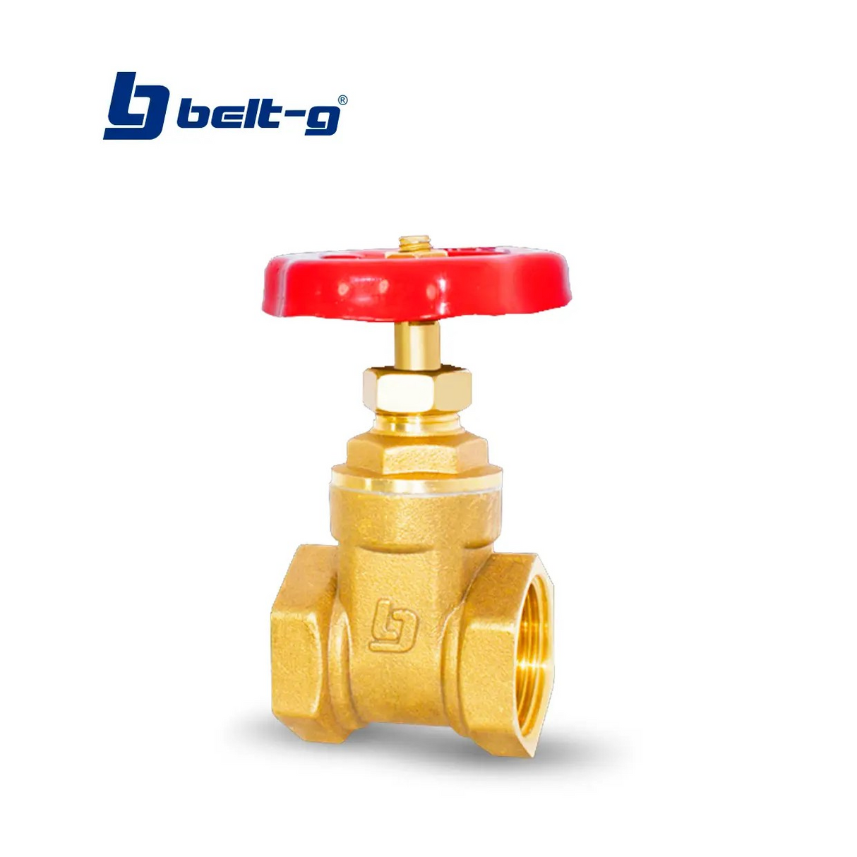 VALVULA COMPUERTA 1/2'' STD BELT-G