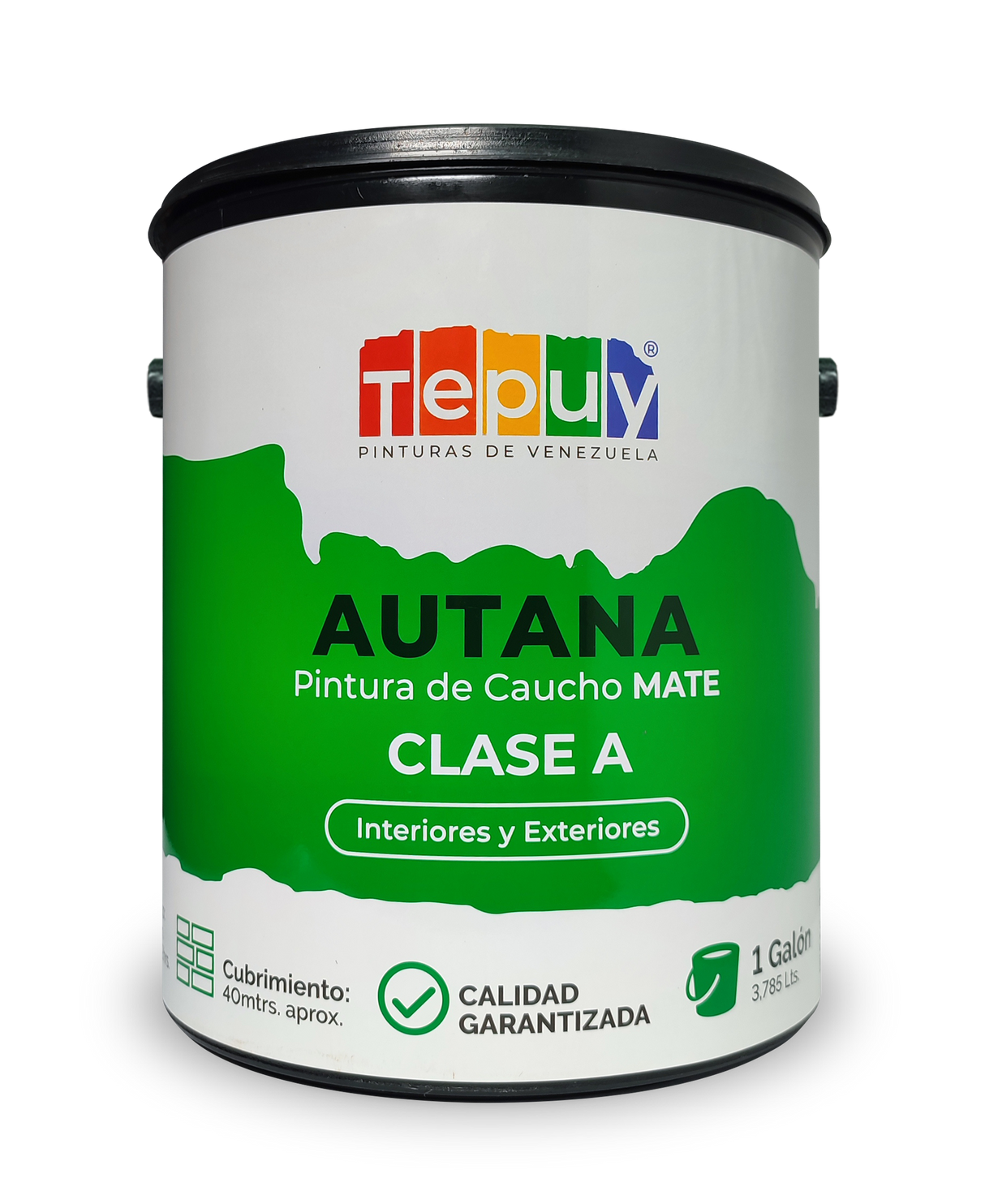 Pintura De Caucho 1G Autana Tepuy Clase A