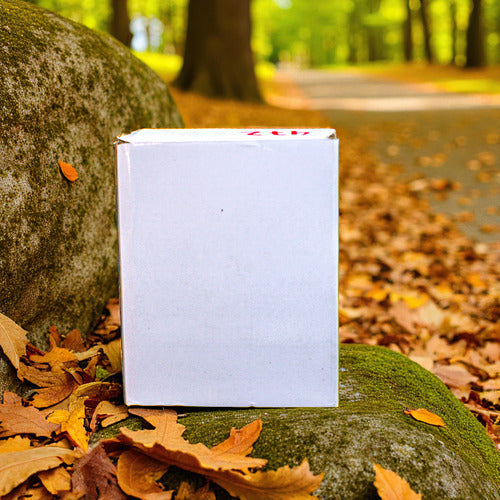 Termo 800ml A/inox Push Orus