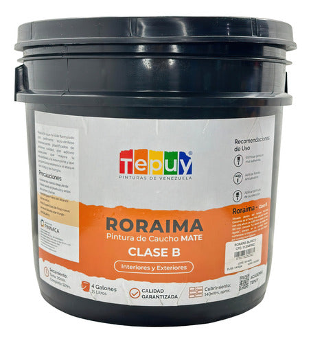 Pintura De Caucho 4G Roraima Tepuy Clase B