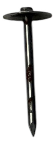 Clavo Para Zinc Caja De 2 X 9 X 1/2 Kg