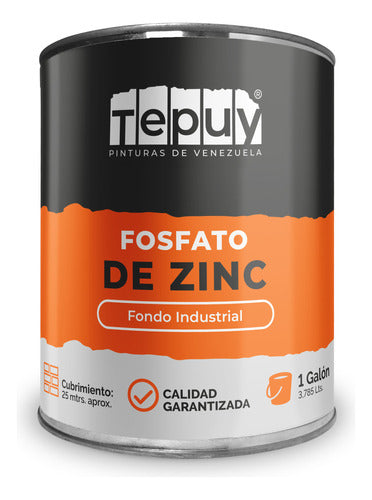 Fondo Fosfato De Zinc 1G Tepuy