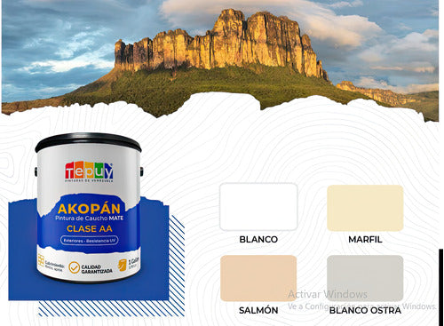 Pintura De Caucho 1G Akopan Tepuy Clase Doble A