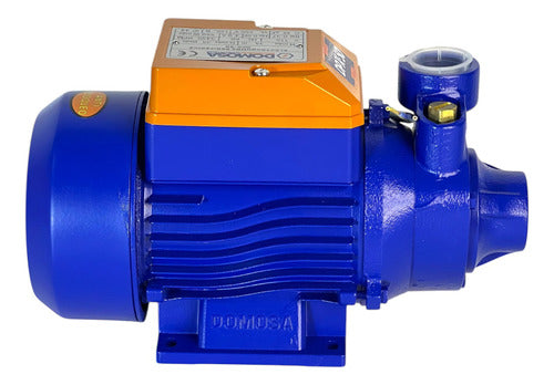 Bomba De Agua Periferica 0.50h 115v 1x1 Domosa