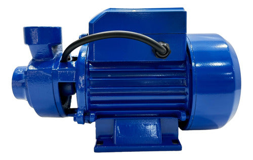 Bomba De Agua Periférica 1/2 Hp Aqua Blue