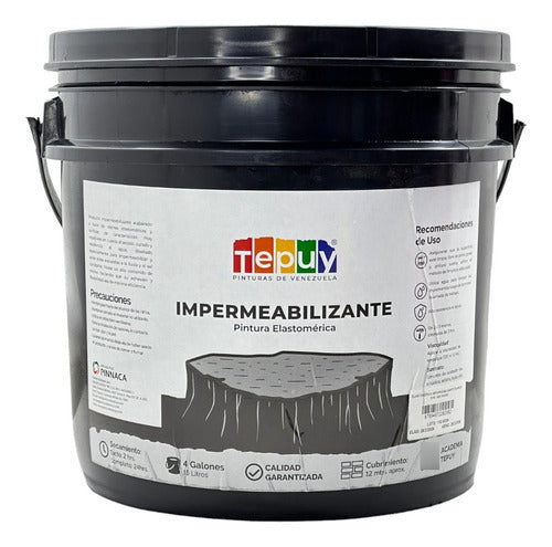Impermeabilizante Cuñete Pinturas Tepuy Pintura Elastomerica