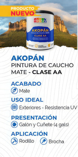 Pintura De Caucho 1G Akopan Tepuy Clase Doble A