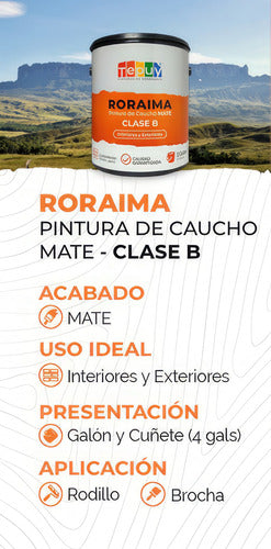 Pintura De Caucho 4G Roraima Tepuy Clase B