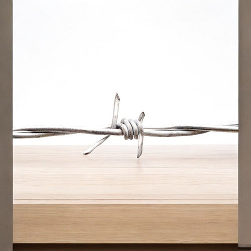 Alambre Puas Galv C16.5 400m 18.5kg Lesso Plus