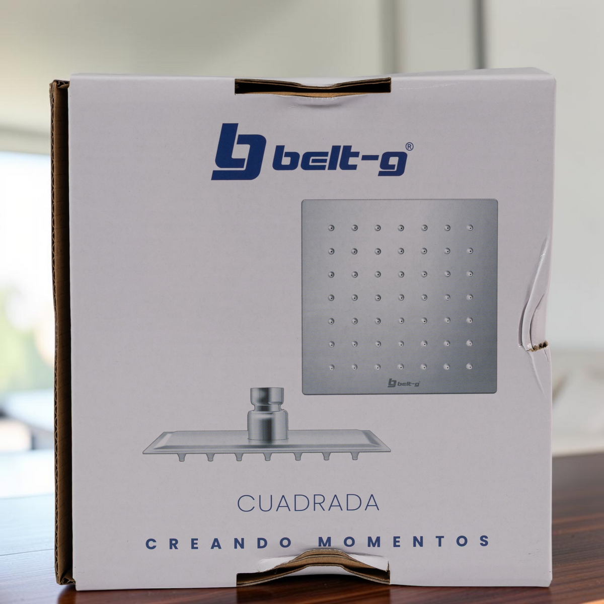Regadera Cuadrada Anticalcárea 6 Ultra Plana Plateada Belt-g