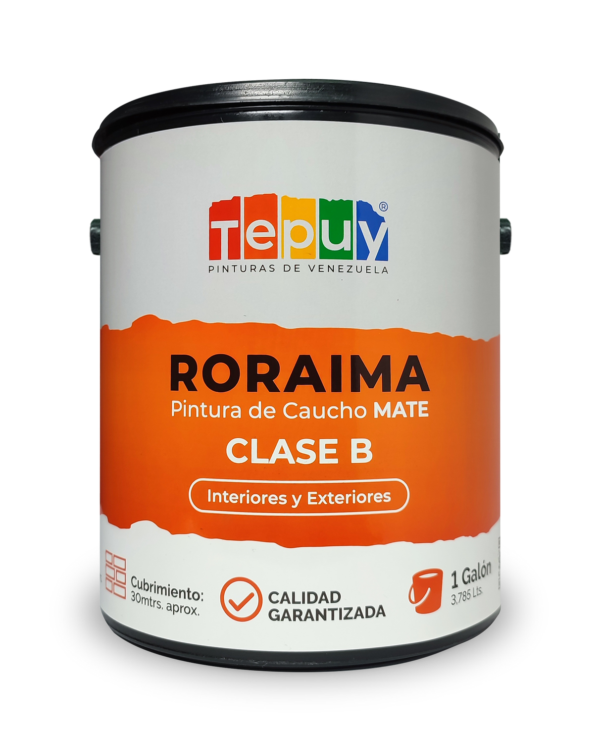 Pintura De Caucho 1G Roraima Tepuy Clase B