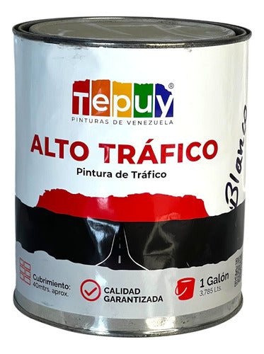 Pintura  Alto Trafico 1g Blanco Tepuy