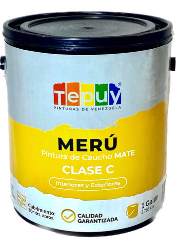 Pintura De Caucho 1G Meru Tepuy Clase C