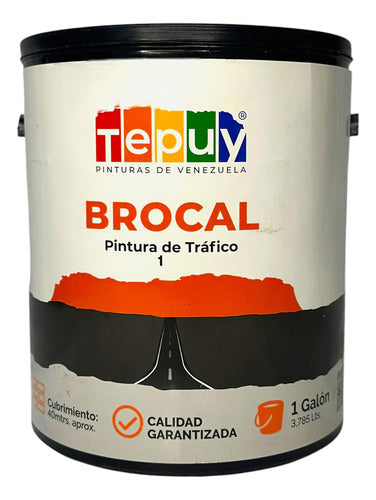 Pintura Para Brocal 1 Galón Blanco Tepuy