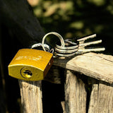 Candado De Bronce 30mm Orus