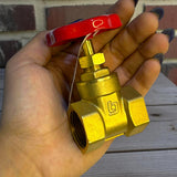 VALVULA COMPUERTA 3/4'' STD BELT-G