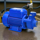 Bomba De Agua Periférica 1/2 Hp Raptor