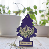 Ambientador Aroma Lavanda Pack 5und Little Trees