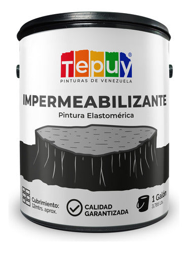 Impermeabilizante 1G Tepuy Pintura Elastomerica