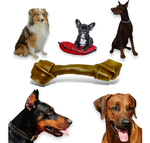 Juguete Hueso Para Perro Masticable 8´´