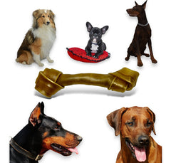 Juguete Hueso Para Perro Masticable 8‹‹