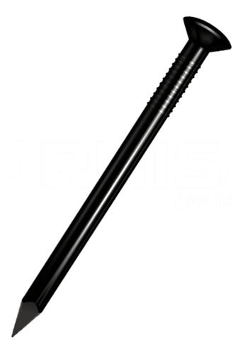 Clavo Acero Negro 1  Set De 100 Piezas Pack De 2 Und Exxel