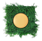 Pintura De Caucho 1G Meru Tepuy Clase C - GASKA