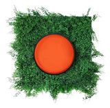 Pintura De Caucho 1G Meru Tepuy Clase C - GASKA