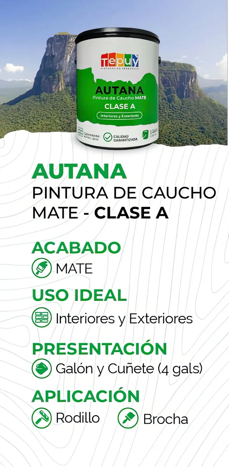 Pintura De Caucho 1G Autana Tepuy Clase A - GASKA