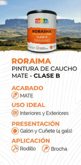 Pintura De Caucho 1G Roraima Tepuy Clase B - GASKA