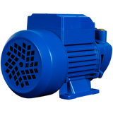 Bomba Agua Periférica 1/2 Hp Raptor