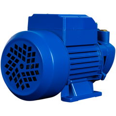 Bomba Agua Periférica 1/2 Hp Raptor