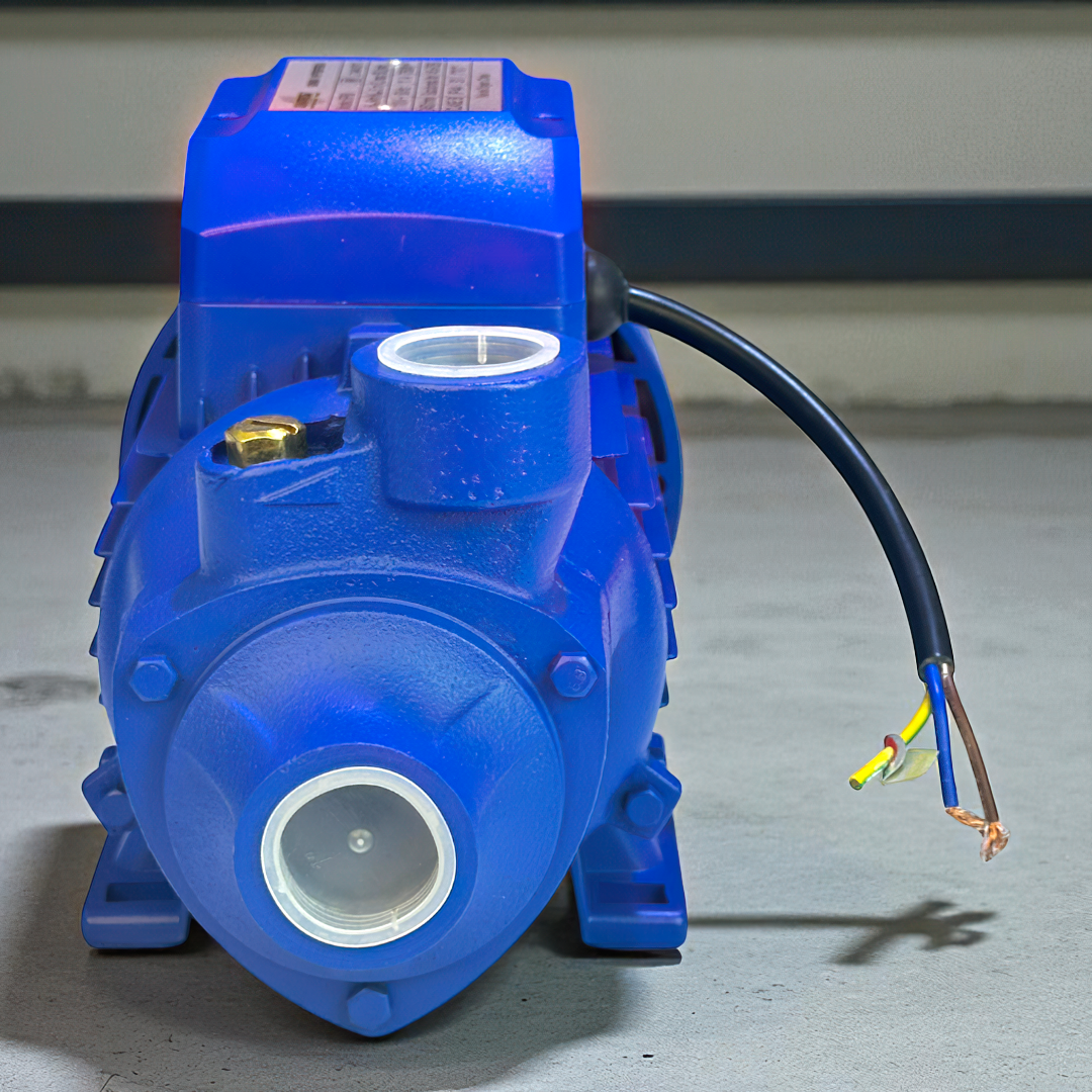 Bomba De Agua Periferica De 1 Hp Raptor