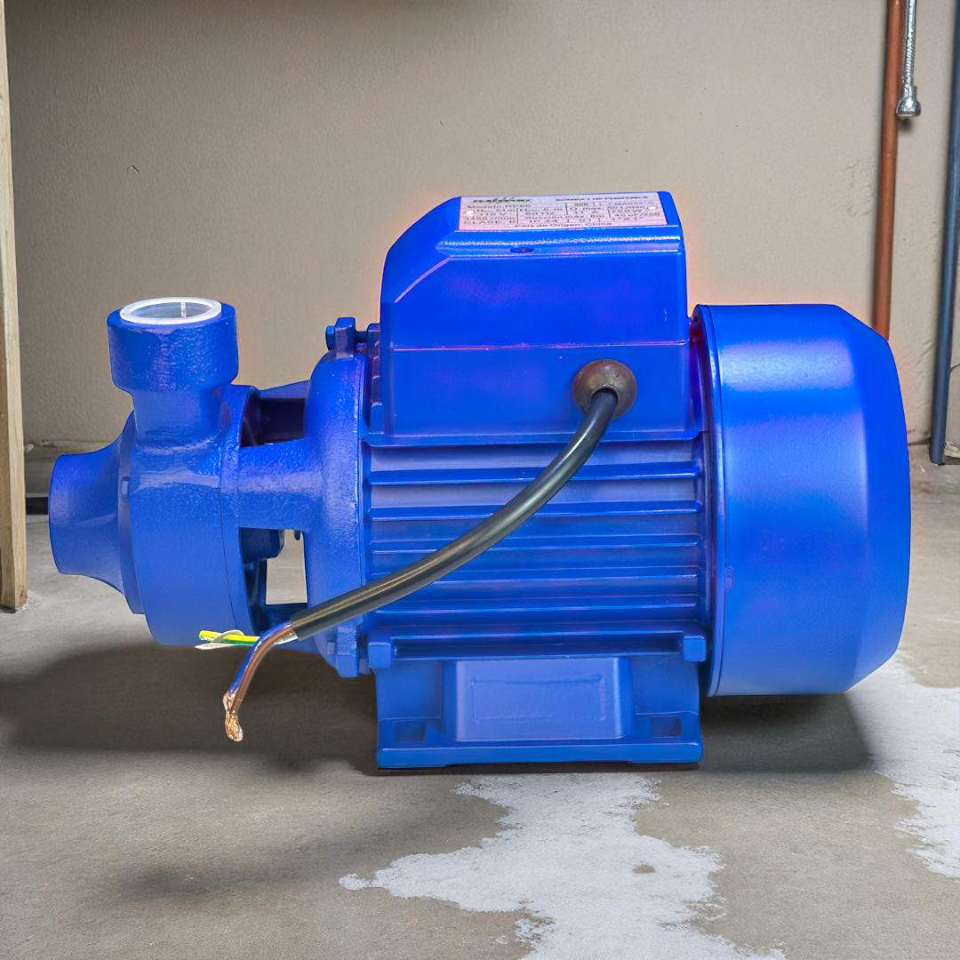 Bomba De Agua Periferica De 1 Hp Raptor